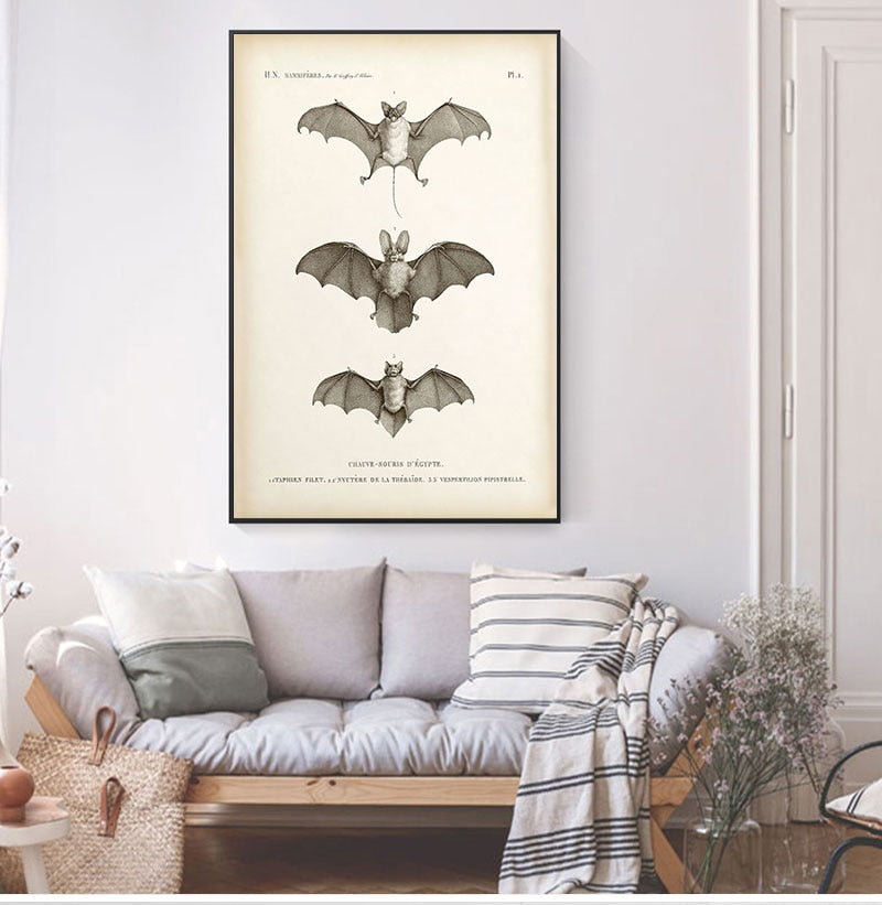 Vintage Bat Print Halloween Wall Art Canvas